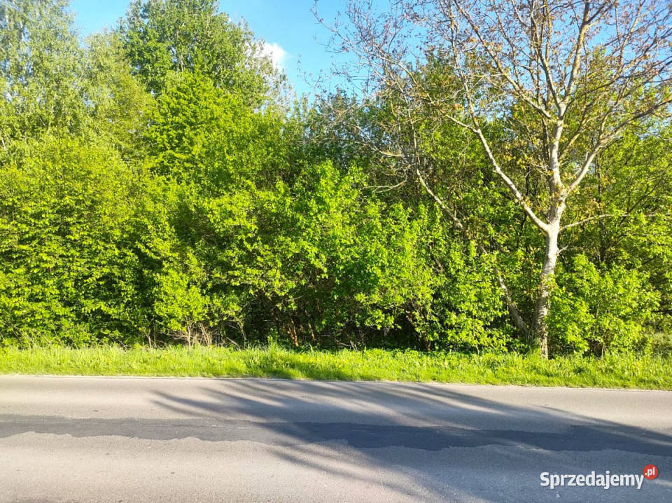 Grunt 2200m2 Motycz Sprzedaż