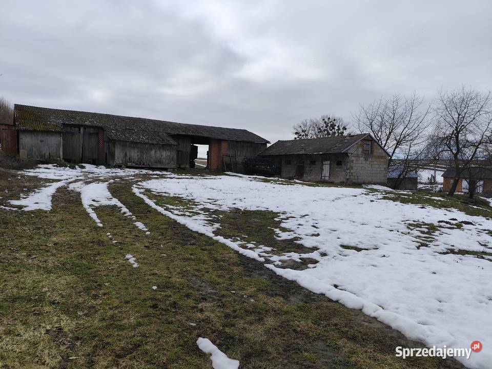 Dom z siedliskiem Janówka Wschodnia