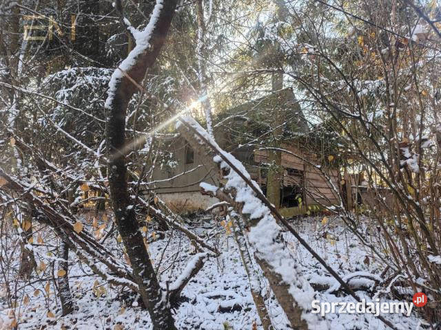 sprzedaży gruntu 6000m2 Babica sprzedam