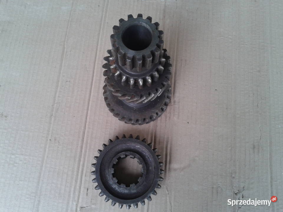 CHOINKA KOŁO ZĘBATE BIEGU 1 i WSTECZNEGO SKRZYNI Chełm