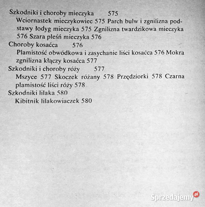 Działka moje hobby praca zbiorowa lubelskie Chełm