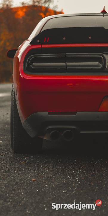 Dodge Challenger Hellcat 62l V8 2016 MANUL 6200cm3 dolnośląskie Wrocław