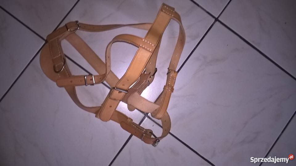 Szelkiszorki dużego psa Leszno