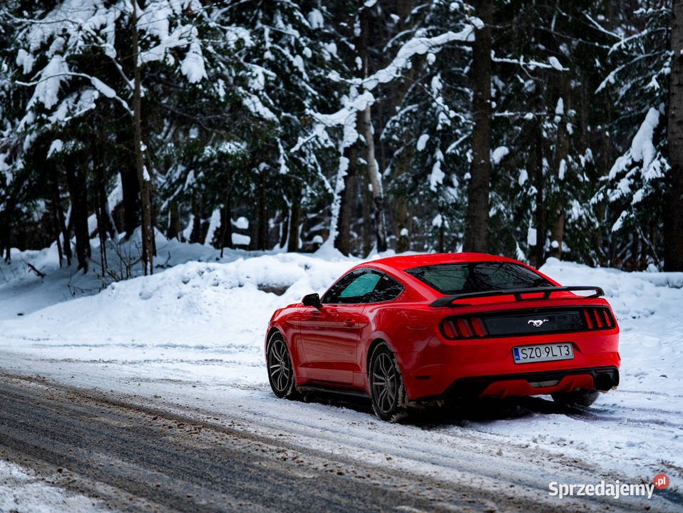 Ford Mustang 23 EcoBoost Żory