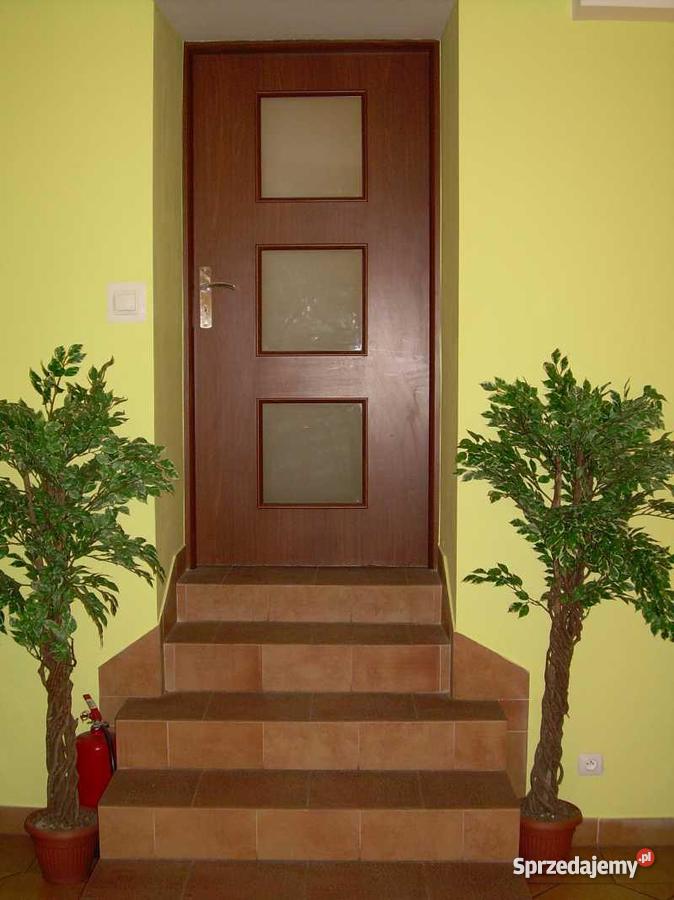 działającą pizzerię Kraków