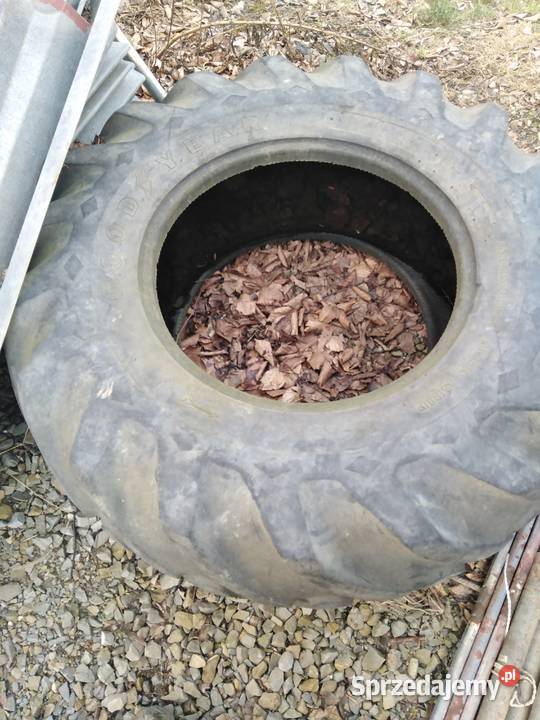 169R24 GOODYEAR