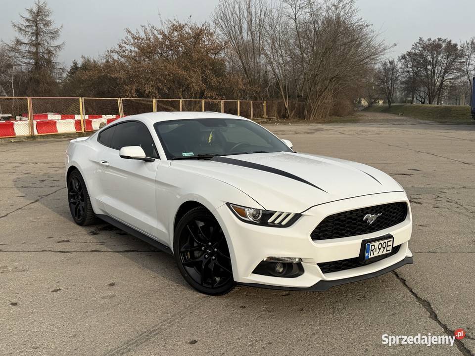 Ford Mustang 23EB 372hp premium performance mazowieckie Mińsk Mazowiecki sprzedam