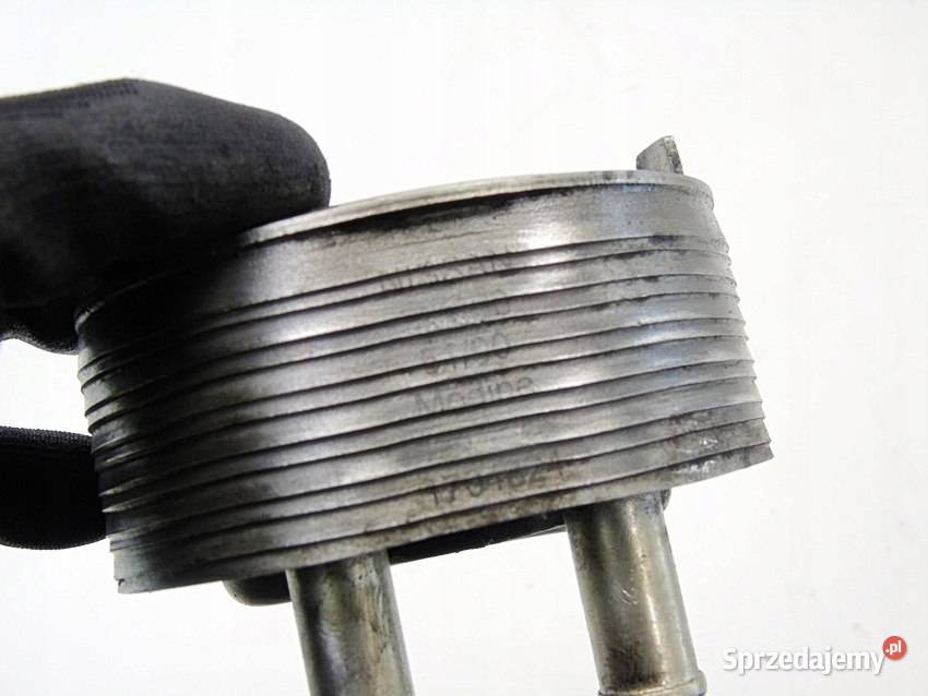 CHŁODNICA OLEJU 22 DI NISSAN ALMERA 2 PRIMERA Pozostałe Sosnowiec