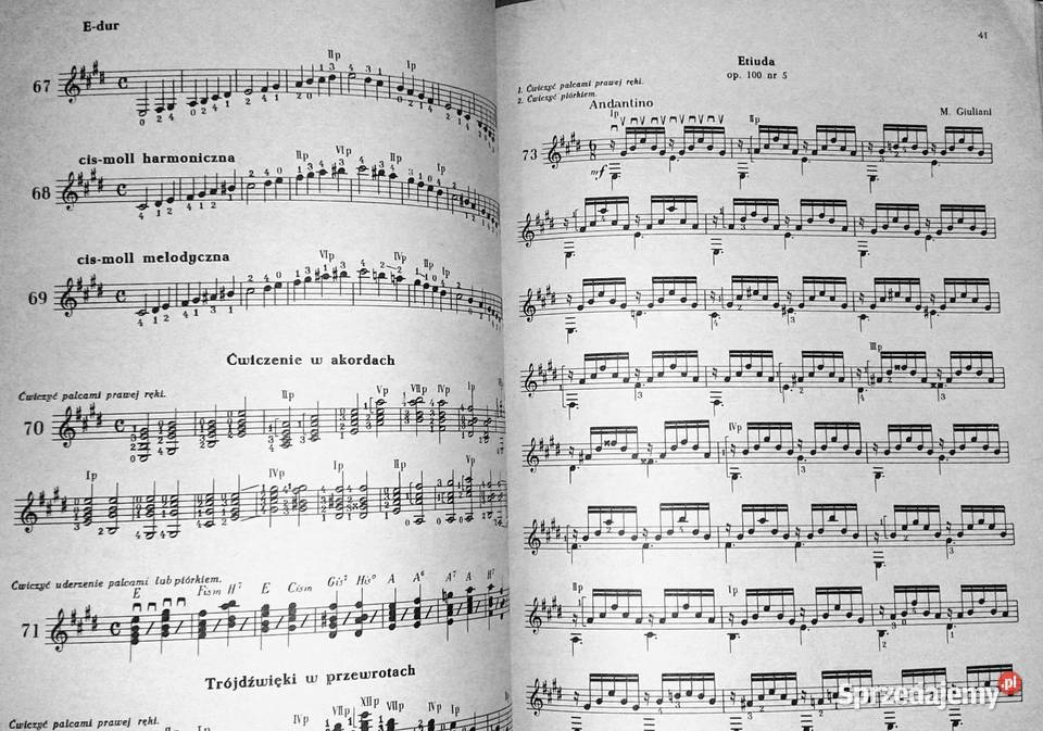 Studium gry akordowej na gitarze Kazimierz lubelskie Chełm