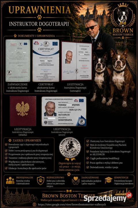 Instruktor Dogoterapii usługa dla zwierząt