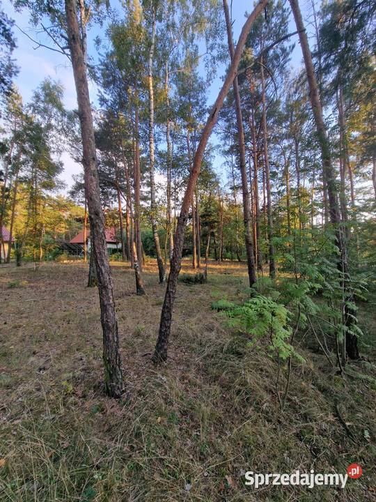 Działka budowlana Piotrków Tryb Wojska Polskiego woda Piotrków Trybunalski