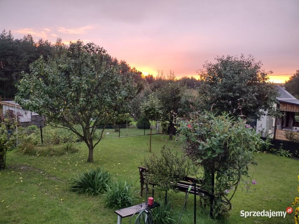 Działka ROD z domkiem 2025 Aleksandrów Kujawski kujawsko-pomorskie