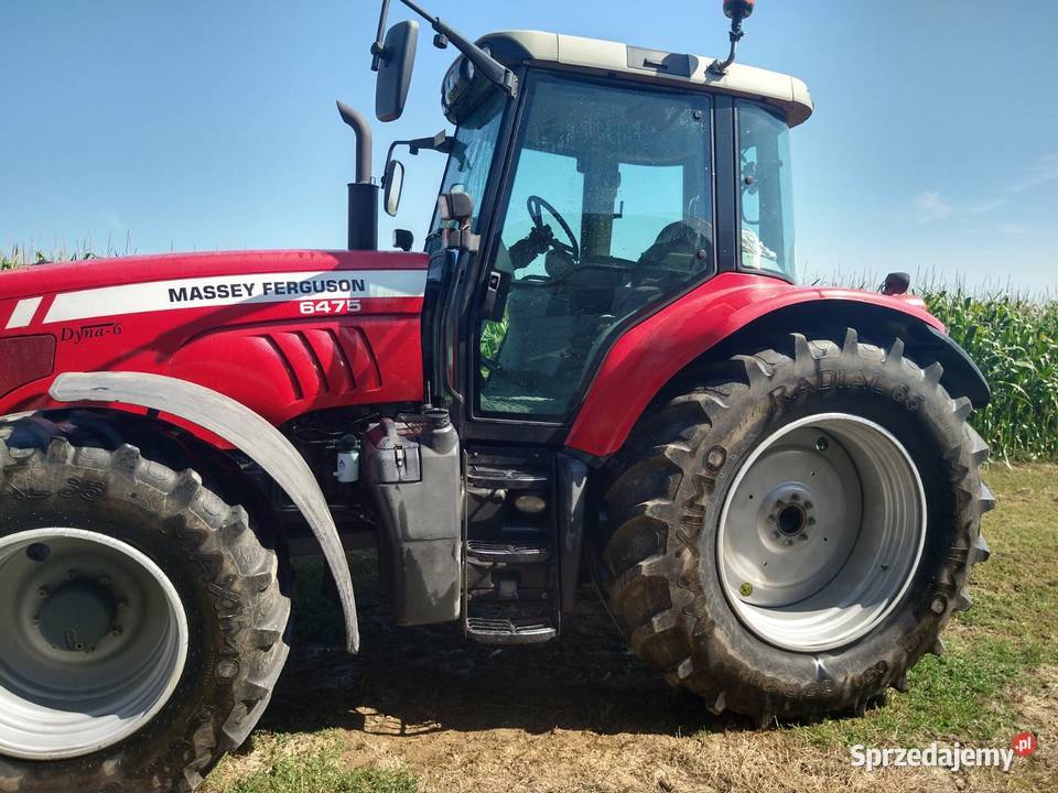 Masy Ferguson Krasnystaw