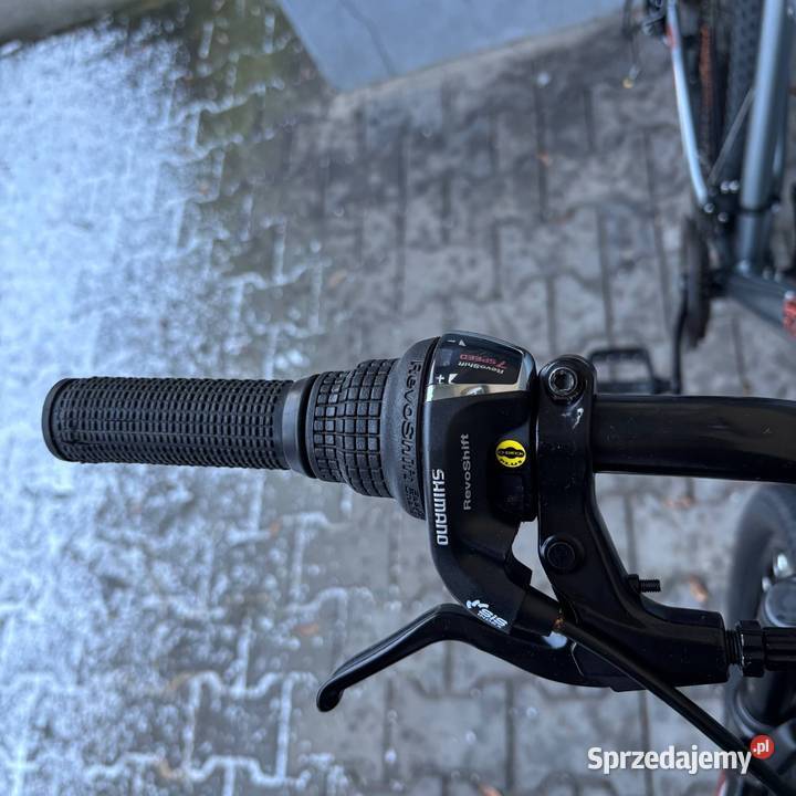 Rower gorski 29 Poznań