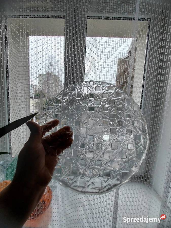 Patera zabkowice i sledziowka hortensja Częstochowa