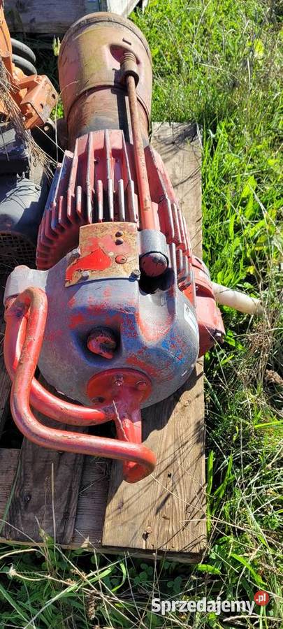 Skoczek Gromadka sprzedam