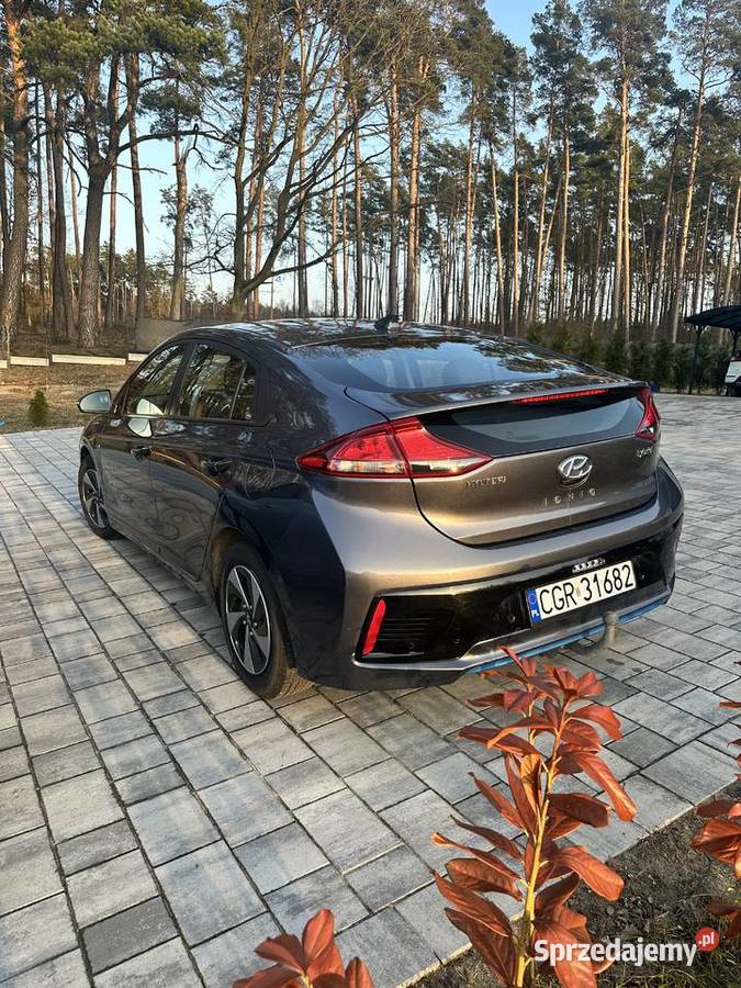 HYUNDAI IONIQ hybryda Grudziądz