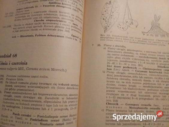 Klucz do oznaczania chorób roślin Przewodnik do Łódź