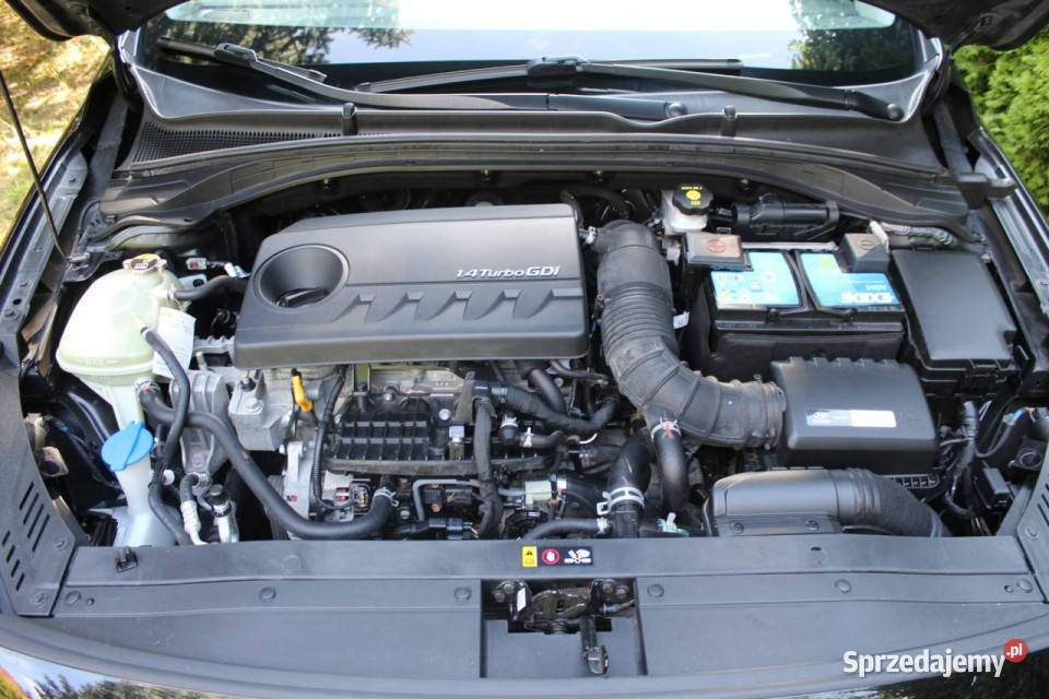 Hyundai i30 14 TGDI 140 Intro Panorama Bogate Lubań