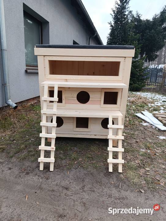 Domek kotów opolskie