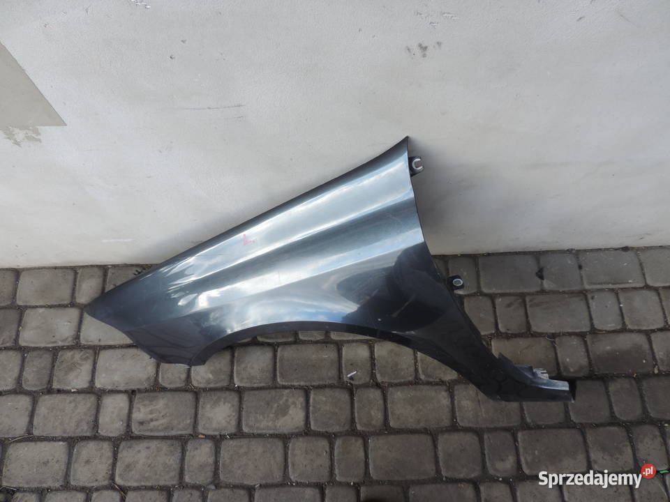 RENO LAGUNA 2 II BŁOTNIK LEWY PRZEDNI TEB66 Nowy Sącz