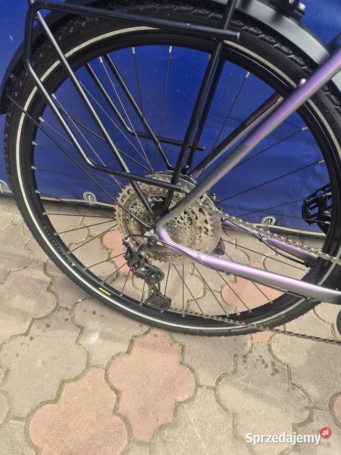Rower trekkingowy męski Winora Domingo 12 Pro 60 Poddębice
