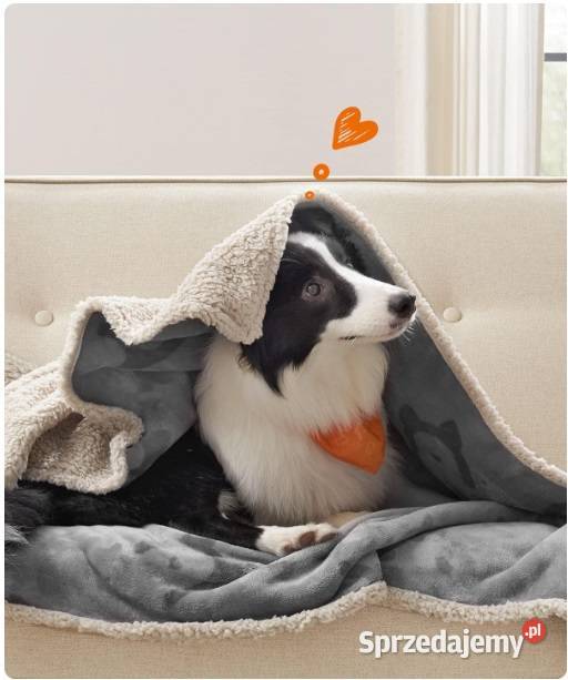 Wodoodporny koc psa dwustronny polarowy 152 x wielkopolskie Poznań