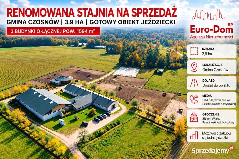 Renomowana stajnia na sprzedaż