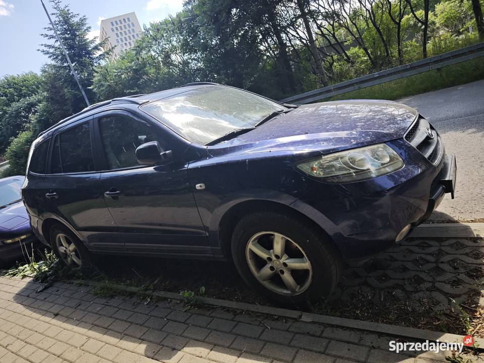 Hyundai Santa Fe II 22 USZKODZONY elektryczne lusterka Rzeszów