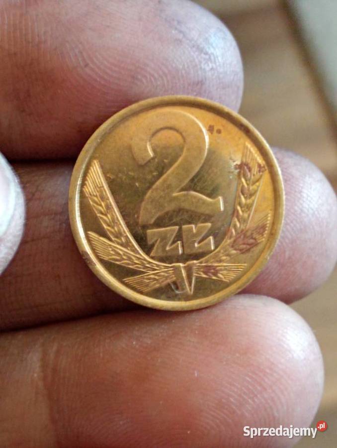 sprzedam monete 2 zl 1982 mosiadz Chełm