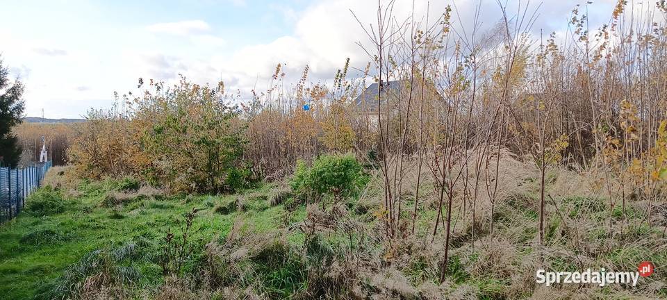 3 działki z MPZP w Wychowie k Luzina