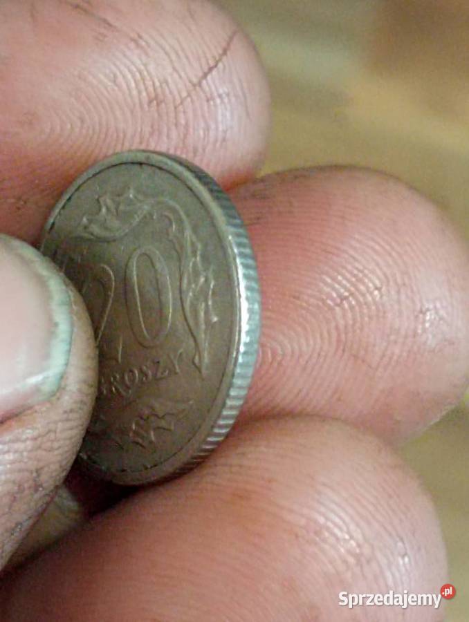 Sprzedam monete 20 groszy 1996r Chełm sprzedam