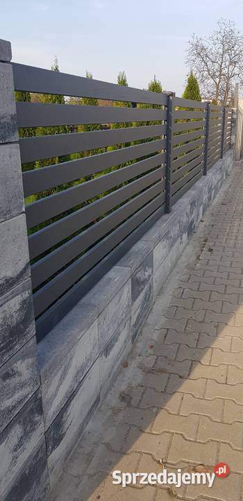 Furtka 110x150 MASTER 83 ogrodzenia bramy Ostrów Dom i Ogród Ostrów Wielkopolski