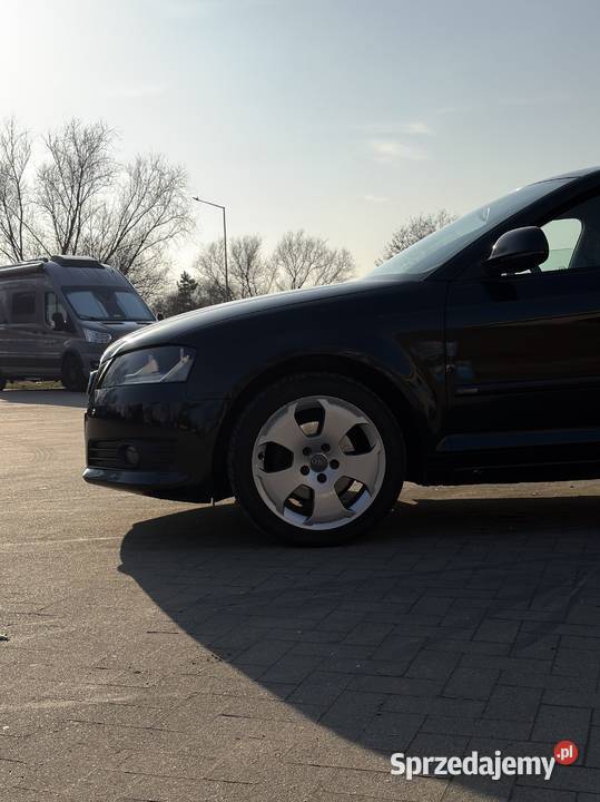 AUDI A3 8P Sportback 20 TDI Nowy Rozrząd Zadbana Bolesławiec