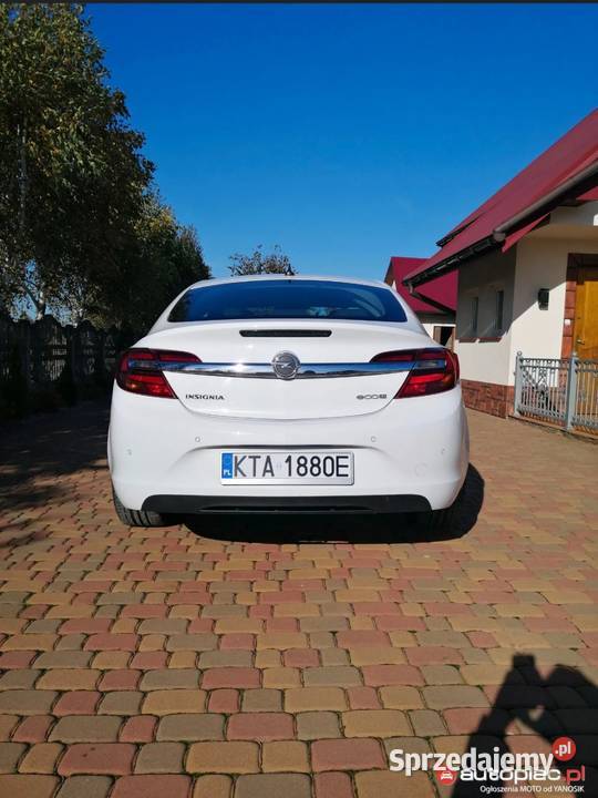 Opel Insignia Tuchów