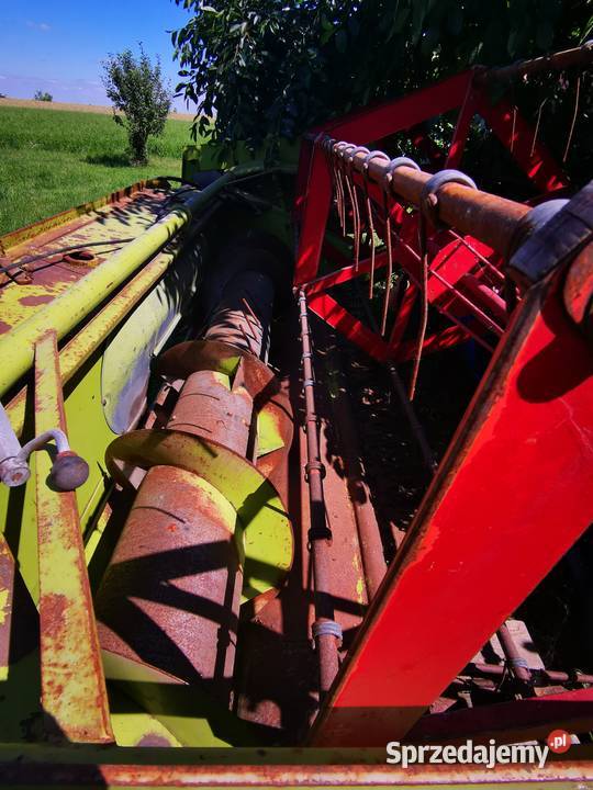 Sprzedam heder claas consul 3m świętokrzyskie Kotarszyn sprzedam