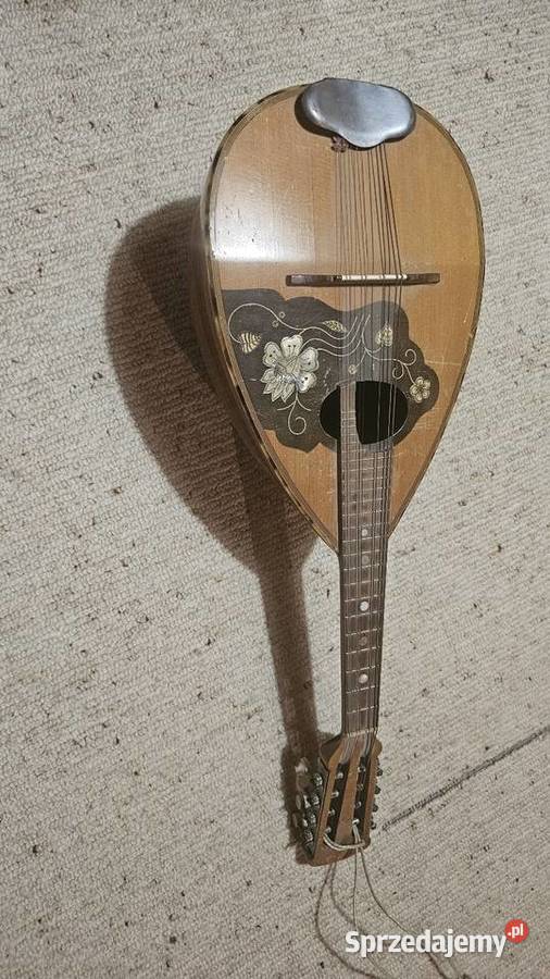 Mendolina podlaskie Augustów sprzedam