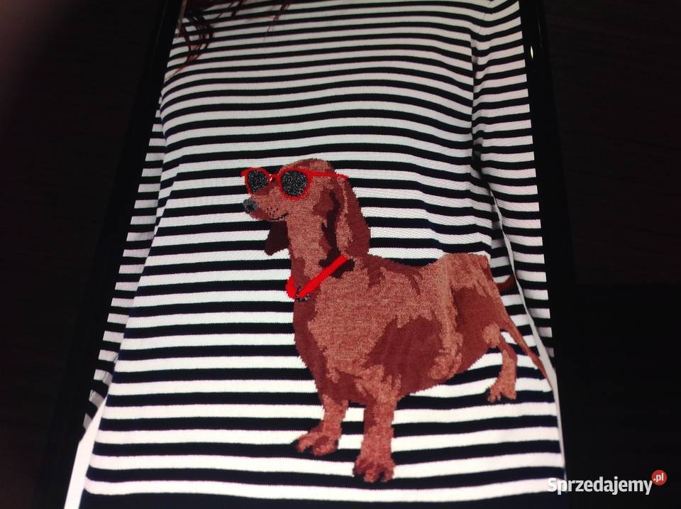 Sweter Damski JOULES S Paski Piesek brązowy/beżowy Nowa Sól sprzedam