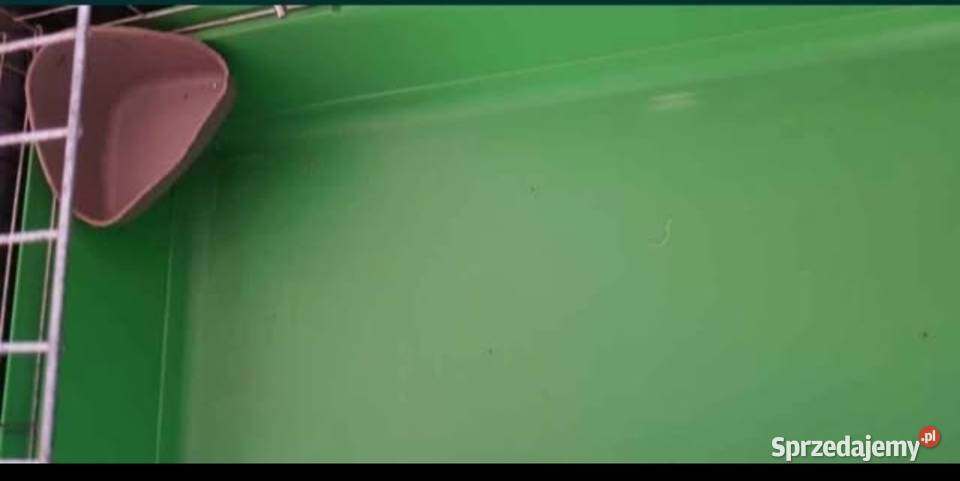 Duża klatka królika świnki morskiej Giełda zwierząt Lwówek Śląski