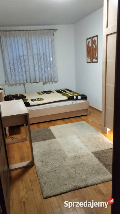 Wynajmę mieszkanie Wrocław Stare Miasto Liczba pokoi 2