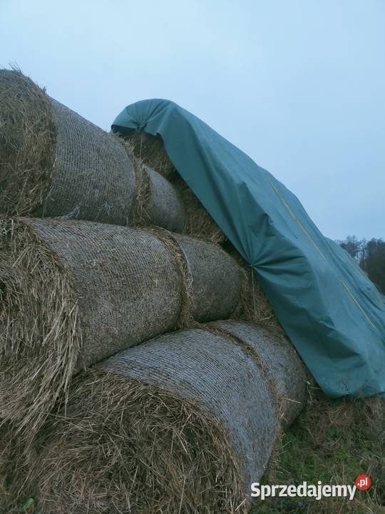 Bele słomy Pace sprzedam