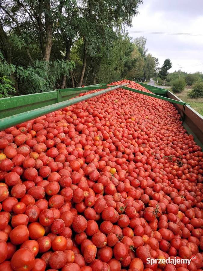 Przyczepa rolnicza 18t Do przyczep rolniczych Ziółków