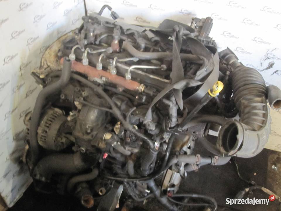 TRANSIT 22 TDCI EU5 DRFB DRFA RWD 100 168 silnik