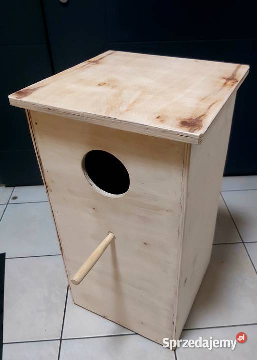 budka lęgowa papuga Rybnik