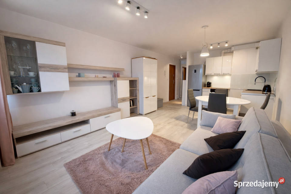 Przytulna Duża Kawalerka Asnyka Liczba pokoi 1 zachodniopomorskie Szczecin