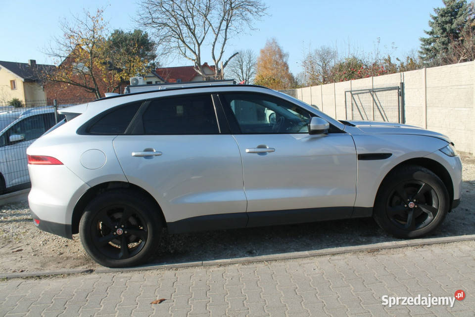 Jaguar FPACE Ostrów Wielkopolski