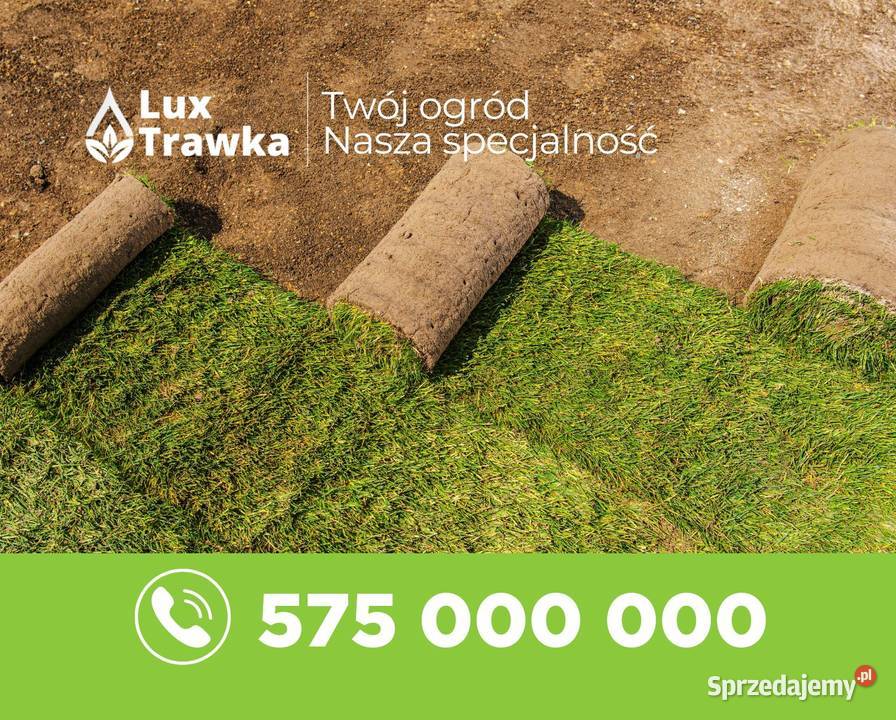 Trawa z rolki Kompleksowe realizacje Tymbark