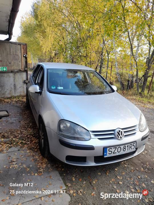 Volkswagen Golf V 1.9 tdi