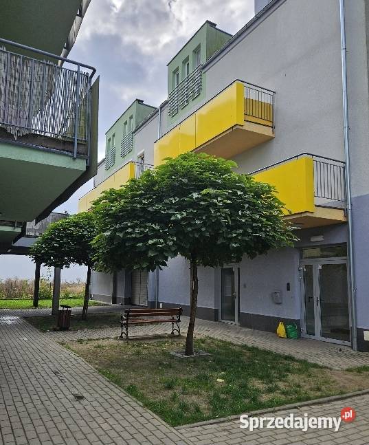 Mie w Stargard sprzedam