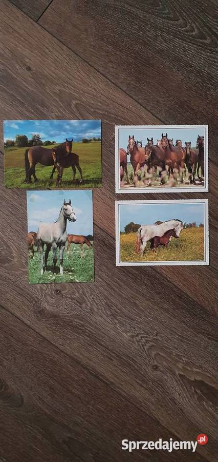 Stare kartki pocztowe miasta i konie Pozostałe małopolskie Kraków